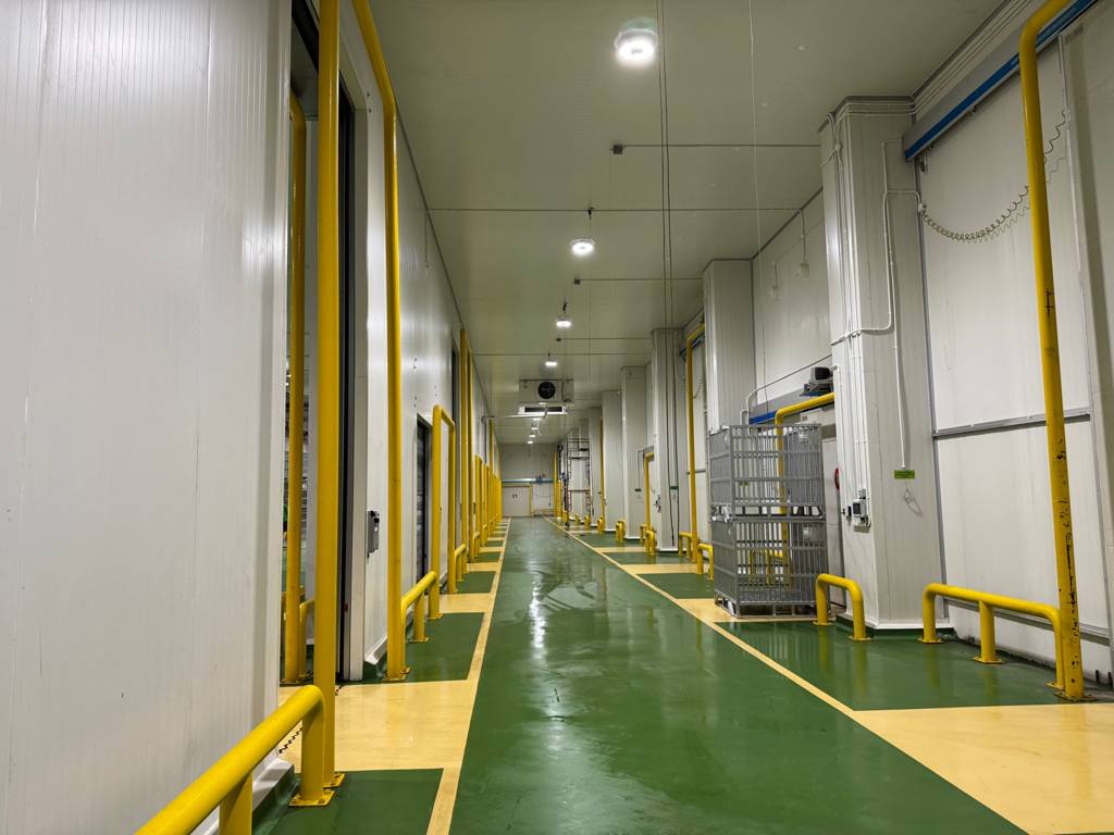 KMJ Group - Cold Storage Facility Interior